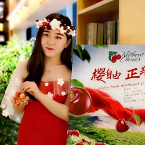 邂逅美国西北樱桃，感受国际时令鲜果