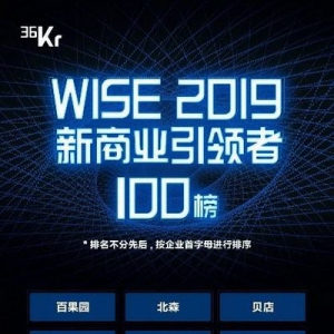 淘集集荣登2019 WISE新商业引领者100榜单