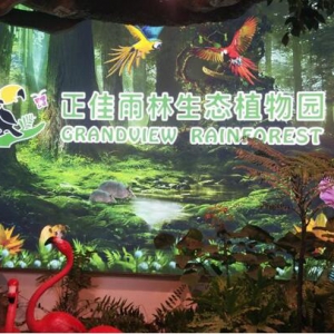 广州文旅新地标！正佳雨林生态植物园领衔“三馆一街”引爆暑期