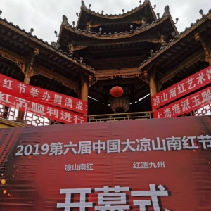 祝贺栖林凤腾总冠名2019第六届凉山南红节玉鹰节