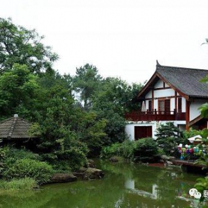 2019中国慢性病研究论坛即将在渝举行！