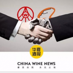 从IBM到阿里巴巴，“数字化”为五粮液构建什么新动能？