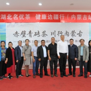 内蒙草原有多辽阔，湖北茶市场就有多大