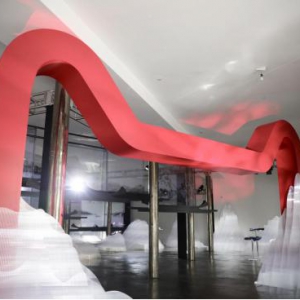 大宝首度亮相纽约时装周，潮出界，大宝天天见！