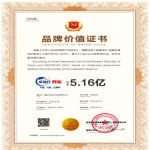 全球行养车斩获国内最大数额天使投资