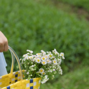 送福女儿为幸福人生起大作用