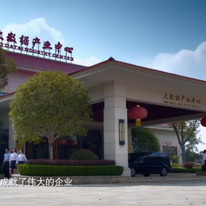 “中国红”闪耀世界