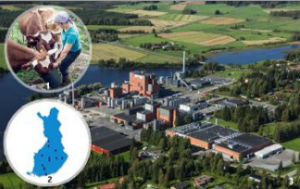 麦蔻乐芬——北欧式幸福，中国宝宝也可以拥有！