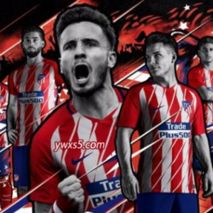 魔芋能预防阿尔茨海默病 魔芋的营养价值和功效