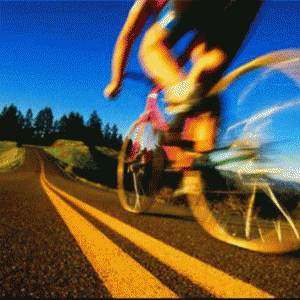 五大活动领衔开启沙雅胡杨节大幕