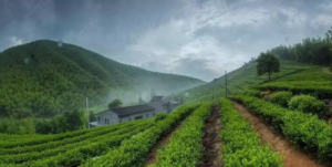 挑战肾上腺素极限 携哈弗H9一同征服莫干山