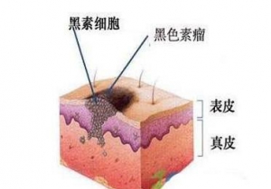 备战“双11”升级会员系统 苏宁全场景零售打造“1小时场景生活圈”