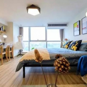 巢客公寓观察：房屋托管行业的前景