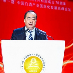 洋河股份冯攀台：中国白酒国际化需“四大护航”