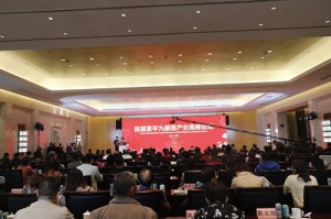 首届富平九眼莲高峰论坛隆重举行