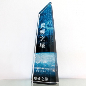 深耕场景运营苏宁金融获易观之星成长大奖