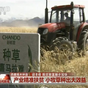 央视晚间新闻报道自然堂喜马拉雅公益“种草”项目