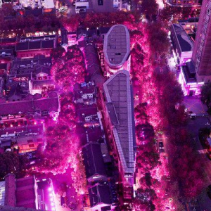 雅诗兰黛集团粉红丝带爱心公益启动