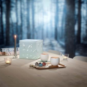 Nespresso浓遇咖啡盛情推出以北欧风情为灵感的限量版节日系列