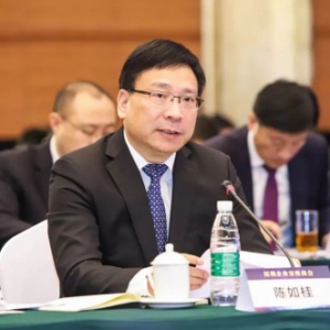 【深圳企业家日】云天励飞陈宁出席企业家座谈会