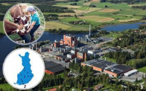 麦蔻乐芬—如何选择一罐好奶粉，你知道吗？