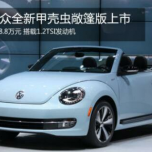 全新亮点大众甲壳虫亚美娱乐圈的女士专用标配