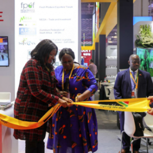 聚焦进博会 南非馆正式开幕