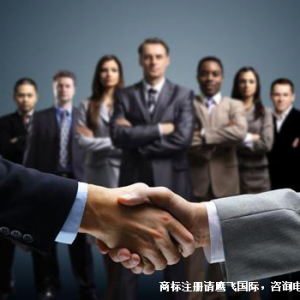 鹰飞解读：各国商标注册，所需时间对比！