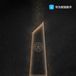 华为智能助手AI营销案例斩获梅花创新奖