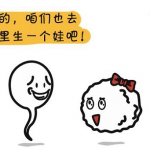 试管婴儿流程你居然不知道？【助孕侠干货】