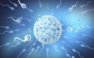 囊胚的评级标准，这个一定要懂！【助孕侠课堂】