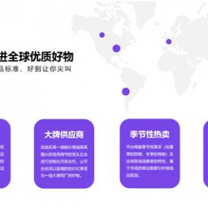 携手全球众多优质品牌，DW会员制商城于2019年12月正式上线