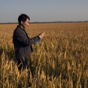 南农食品开创大米鲜食代！预约下单碾米新模式