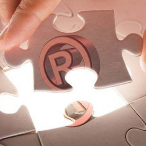 注册境外商标是选马德里商标还是欧盟商标