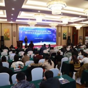 2019中国优秀旅游品牌推广峰会在成都隆重召开