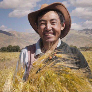 CoCo都可跨3000公里美食消费扶贫之旅 让以吃代捐大有“稞”为