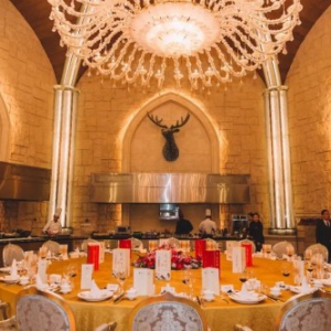 原子链CEO廖望向意大利前总理伦齐介绍ATOSHI