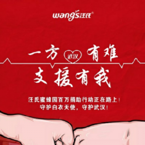 没有一个冬天不可逾越 | 致敬白衣战士，汪氏在行动！