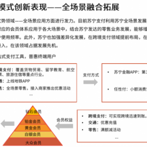 苏宁支付全场景发力 实力入选艾媒中国移动支付典型企业