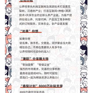 2020大学生兼职最火爆项目