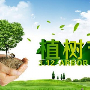 植树节∣足力健老人鞋致敬为维护生态默默付出的耄耋老人们