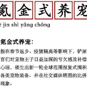 世界上最富有的狗子身价26亿，你为你家宠物氪金多少了？