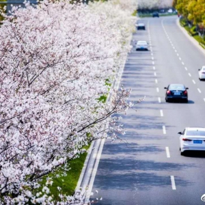 打卡“美丽北仑”，尽享“绿色福利”