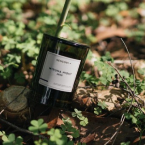 澳洲有机香氛品牌SENSORI+发布全球首款植萃净化香氛蜡烛