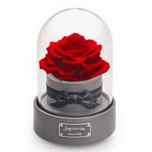 设计遭雷同 品牌遇侵权 ROSEONLY以法律维护原创力量