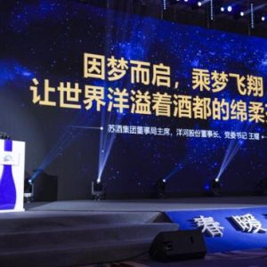 乘梦飞翔，洋河股份王耀用智慧传递酒都的绵柔芬芳