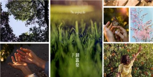 未来已来，耕富泉有机直供平台开启人人新零售时代