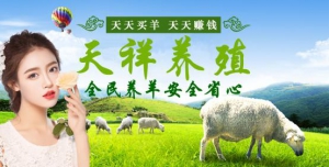 别在家闲着了！天祥养殖场助你实现云养羊