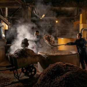 “集五粮精华” 夯实五粮液品质之基