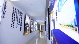 慈华臻品携手湖南卫视，深化品牌之路